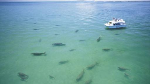 Tangalooma
