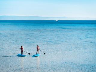 Stand Up Paddle Boards