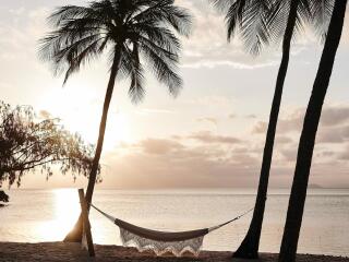 Sunset Hammocks