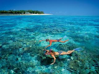 Reef