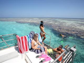 Snorkelling Great Barrier Reef