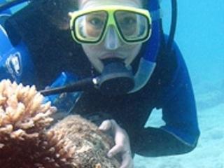 Diving the Great Barrier Reef