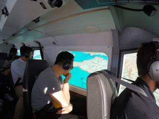 Viewing Reef