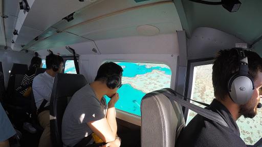 Viewing Reef