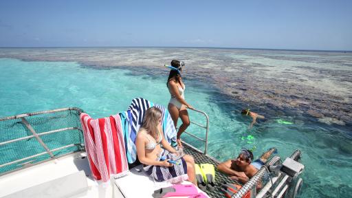 Snorkelling Great Barrier Reef