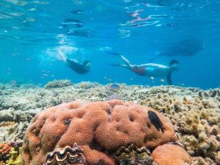 Great Barrier Reef Adventure