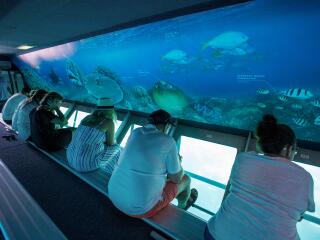 Reefworld Underwater Observatory