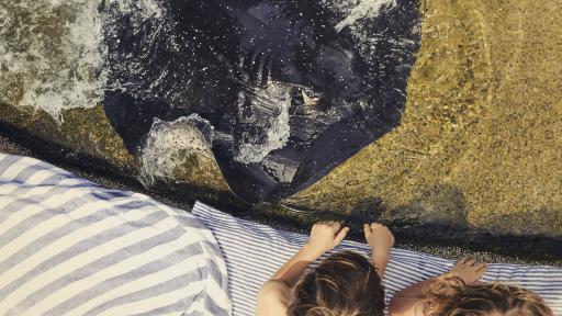 Twin Island Escape - Daydream Living Reef