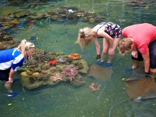 Daydream Island