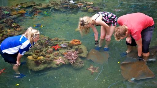 Daydream Island