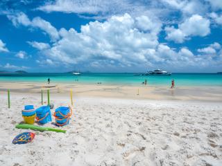 Whitehaven Beach Half Day