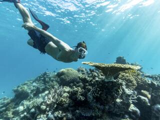 Snorkelling