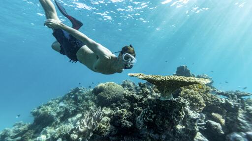 Snorkelling