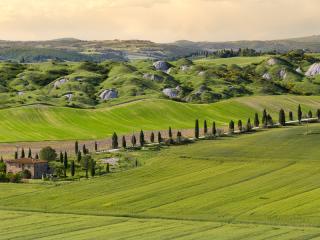 Siena Farmhouse and Countryside