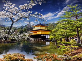 Japan, Kyoto, Gold Temple (Golden Pavilion)