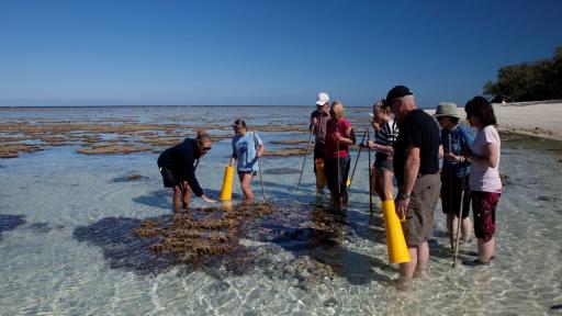 Reef Walk