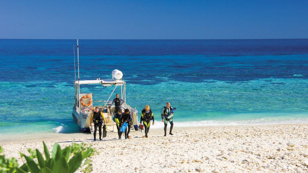 Diving