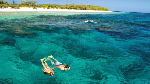 Lady Elliot Island Snorkelling