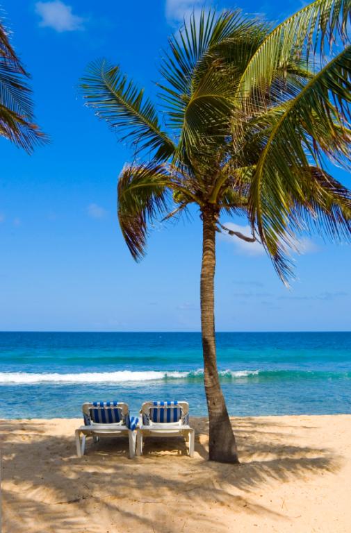 Mackay Beaches Guide To The Beaches in Mackay