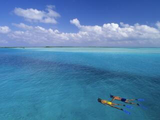 Snorkelling