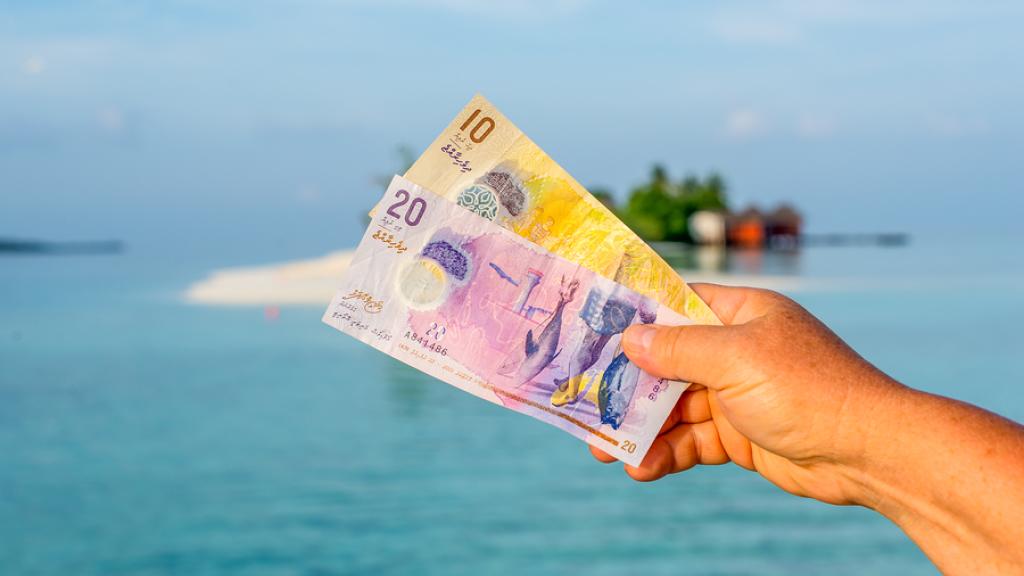 33+ What Currency Do I Use In Maldives