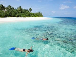 Snorkelling