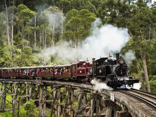 Puffing Billy Steam Train
