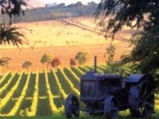 Yarra Valley Wine Tours