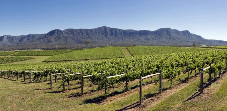 Hunter Valley Vineyards