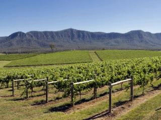 Hunter Valley Vineyards