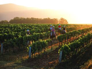 Hunter Valley Resort