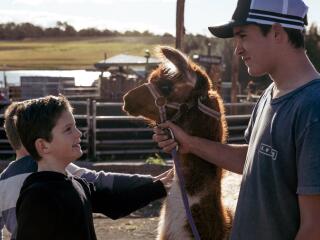 Hunter Farm