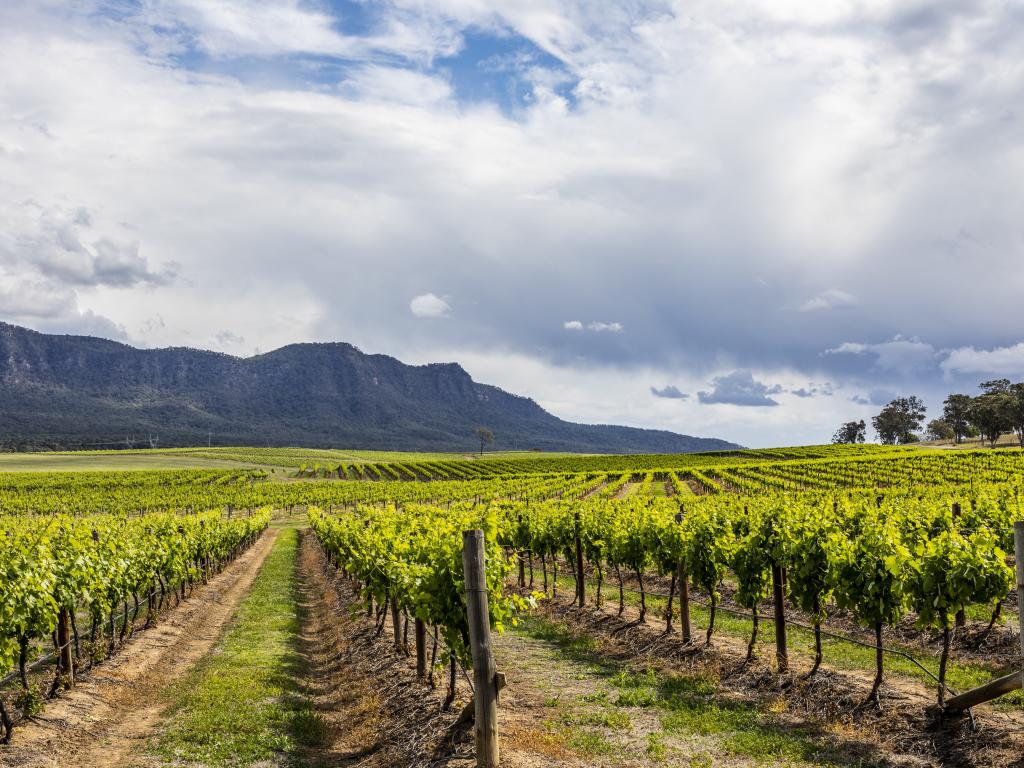hunter valley tours for two
