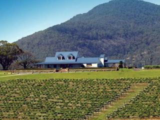 Audrey Wilkinson Vineyard