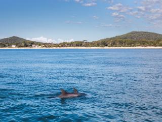 Nelson Bay, Port Stephens - Destination NSW