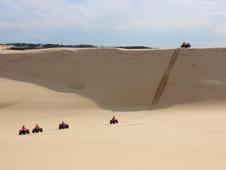 Sand Dune Adventures