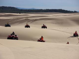 Sand Dune Adventures