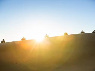 Sand Dune Adventures