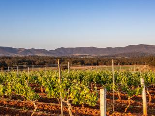 Hunter Valley - Destination NSW