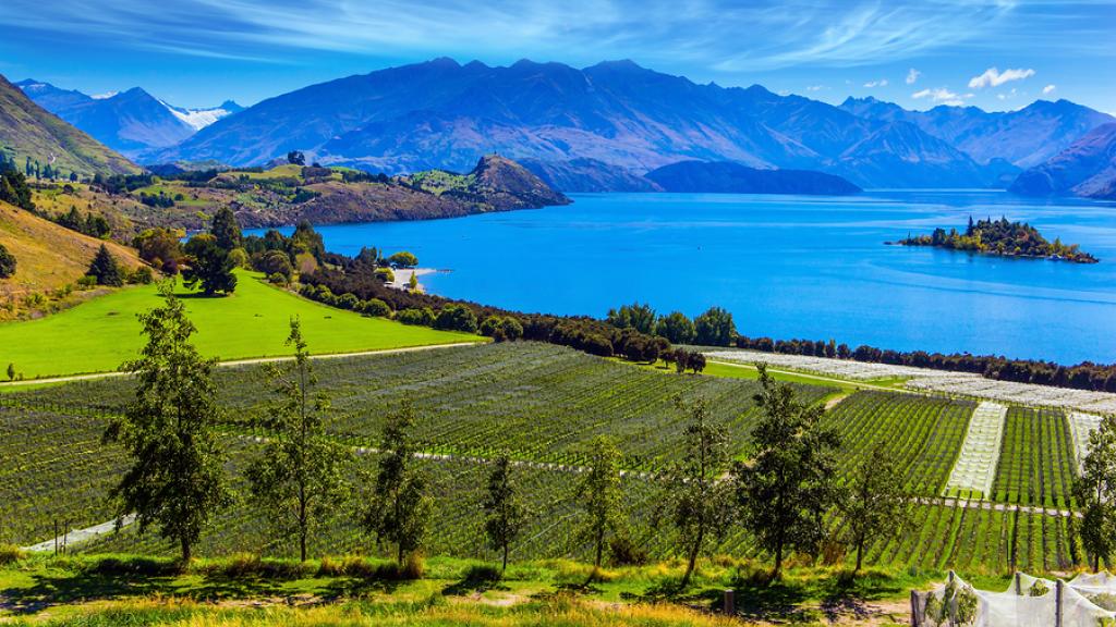 Best Time To Visit New Zealand When To Travel To The New Zealand Islands