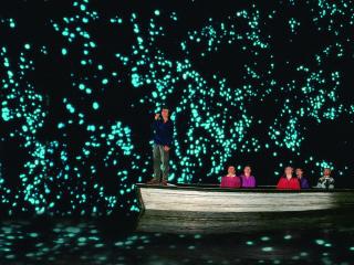 Glowworms Cave