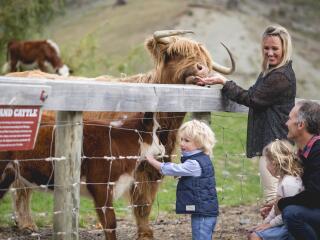 Walter Peak Farm Excursion -  RealNZ Tour