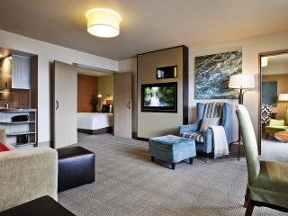1 Bedroom Alpine Suite