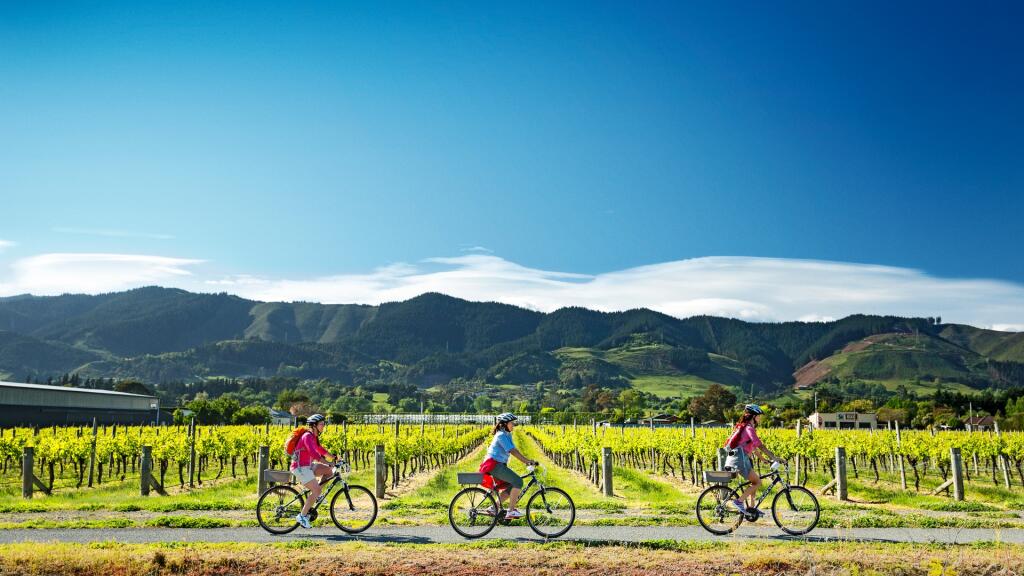 Nelson - New Zealand