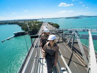 Bridge Climb