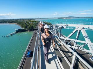 Bridge Climb