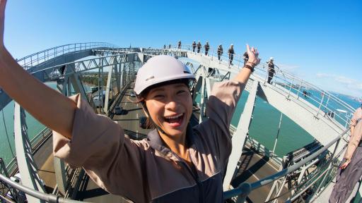 Bridge Climb