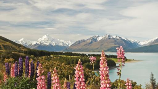 Mount Cook Day Tour