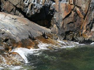 Doubtful Sound Wilderness Cruise