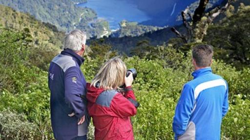 Doubtful Sound Wilderness Cruise